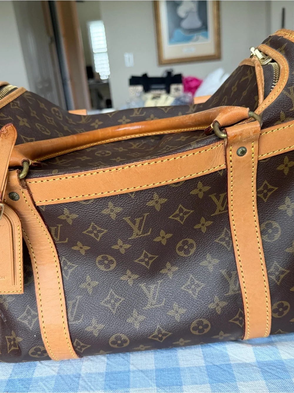 Vintage Louis Vuitton Sac Chien 40 Monogram Pet Carrier.